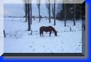 bild7.JPG